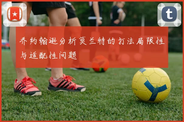 乔约翰逊分析莫兰特的打法局限性与适配性问题